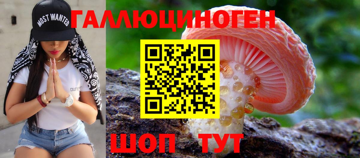 Галлюциногенные грибы прущие грибы Таганрог