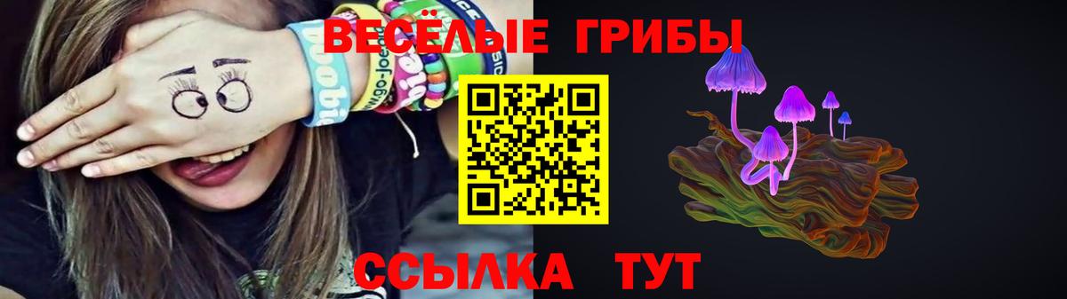 Таганрог  Галлюциногенные грибы Magic Shrooms  Вход с VPN 